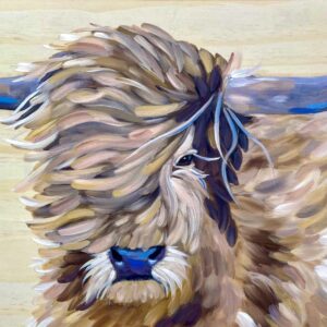 Highland Coo - Cattle Art Print