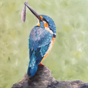 Kingfisher - Halcyon Days - Square Print
