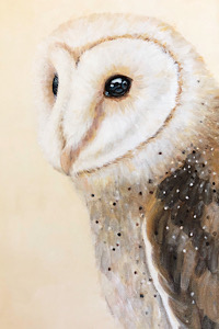 Barn Owl - In Quiet Contemplation - A4 Print