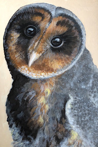 Barn Owl - When I Grow Up - A4 Print