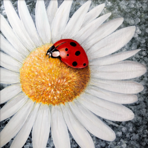 Ladybird Blessings - Square Print
