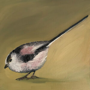 Long Tailed Tit - Lollipop - Square Print