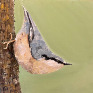 Nuthatch - Topsy-Turvy - Square Print
