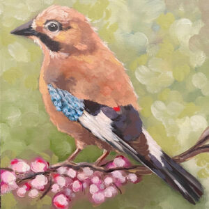 Jay - The Thoughtful Jay